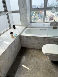 The Parc Condominium (D5), Condominium #502313661